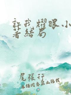 许我耀眼小说原著结局