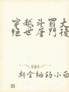 穿越斗罗大陆2绝世唐门后宫小说