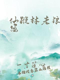 仙踪林老狼欢迎您