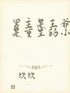 男主是王爷女主是重生的小说