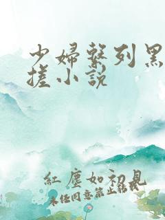 少妇系列黑人揉搓小说