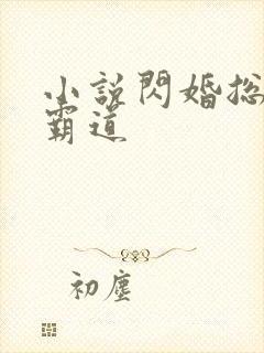 小说闪婚总裁太霸道