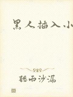 黑人插入小说
