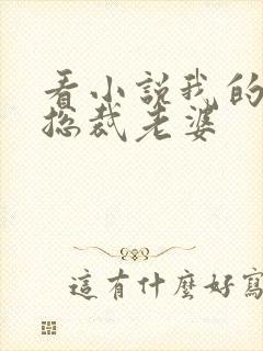 看小说我的冷艳总裁老婆