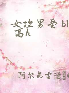 女攻男受 bl 高h