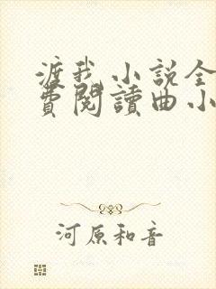 渡我小说全文免费阅读曲小蛐