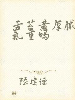 舌苔黄厚腻是湿气重吗