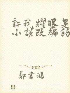 许我耀眼是什么小说改编的