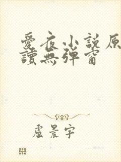 爱夜小说原文阅读无弹窗