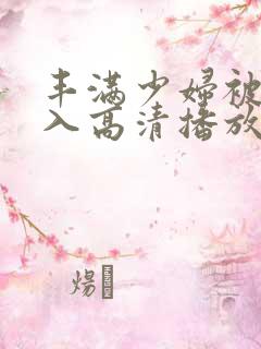 丰满少妇被猛进入高清播放