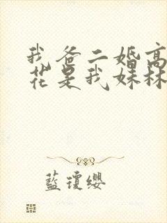 我爸二婚高冷校花是我妹林婉冰