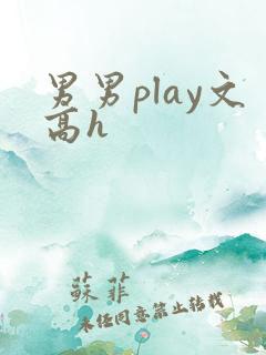 男男play文高h