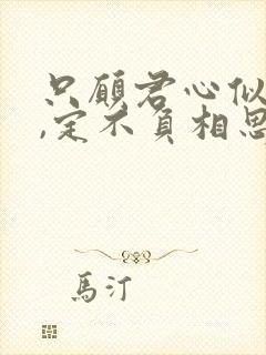 只愿君心似我心,定不负相思意.什么意思