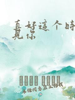 真好这个时候遇见你