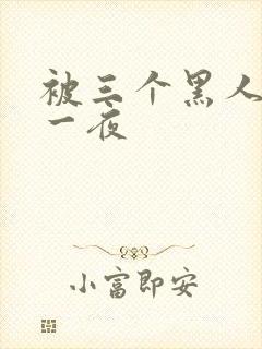 被三个黑人猛躁一夜