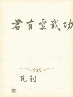 君有云武功排名