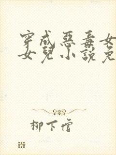 穿成恶毒女配的女儿小说免费阅读