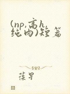 (np,高h,纯肉)短篇