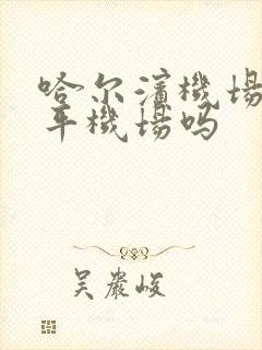 哈尔滨机场是太平机场吗