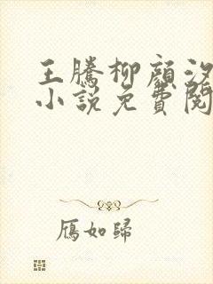 王腾柳颜汐穿越小说免费阅读