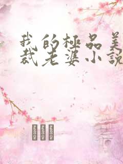 我的极品美女总裁老婆小说免费阅读