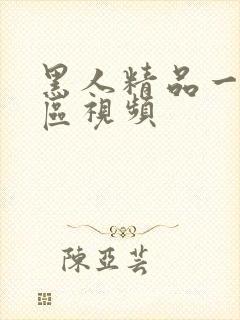 黑人精品一区二区视频