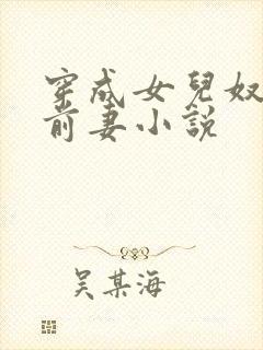 穿成女儿奴大佬前妻小说