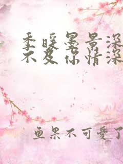 季暖墨景深暖风不及你情深