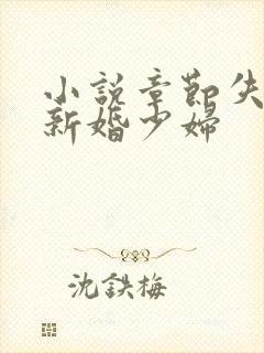 小说章节失身的新婚少妇