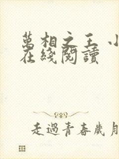 万相之王 小说在线阅读