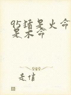 95猪是火命还是木命