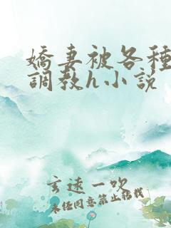 娇妻被各种刑具调教h小说