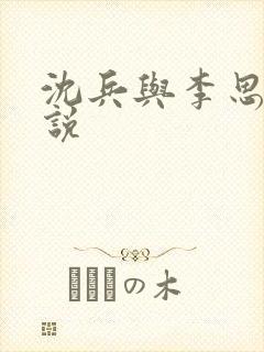 沈兵与李思的小说