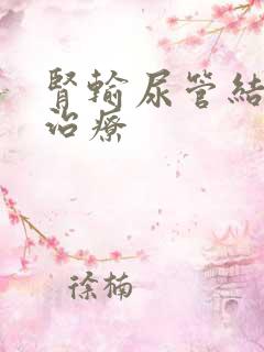 肾输尿管结石 治疗