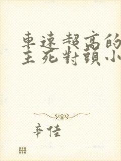 车速超高的双男主死对头小说