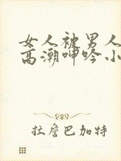 女人被男人狂操高潮呻吟小说