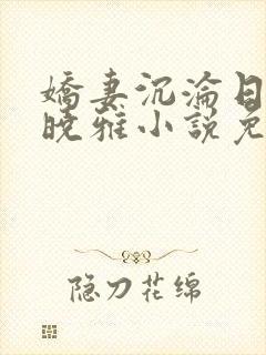 娇妻沉沦日记许晓雅小说免费阅读