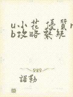u小花 优质rb攻略系统