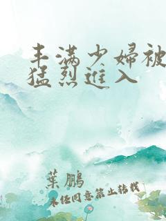 丰满少妇被黑人猛烈进入