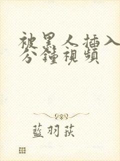 被黑人插入30分钟视频