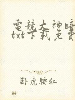 电竞大神暗恋我txt下载免费