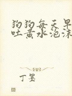 狗狗每天早上呕吐黄水泡沫