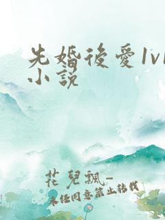 先婚后爱1v1小说