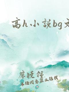 高h小说bg文