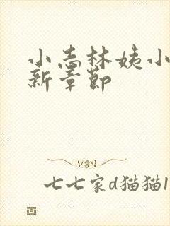 小志林姨小说最新章节