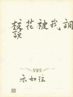 校花被我调教小说