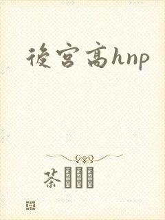 后宫高hnp