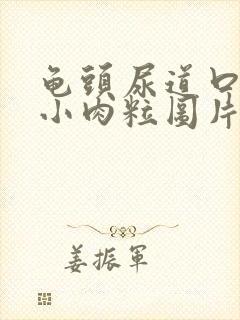 龟头尿道口长了小肉粒图片