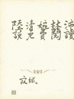 陆清婉林沛琛小说免费阅读最新章节