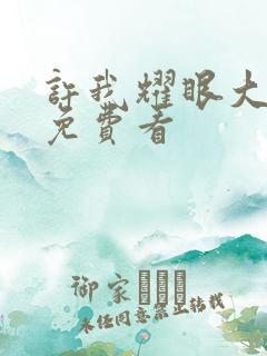 许我耀眼大结局免费看